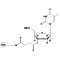 3'-dT CPG | FIVEphoton Biochemicals | Oligonucleotide Synthesis Reagent | HPT2201